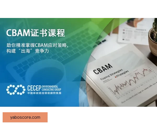 2026世界杯投注平台全面解析助你精准掌握最新赛事动态