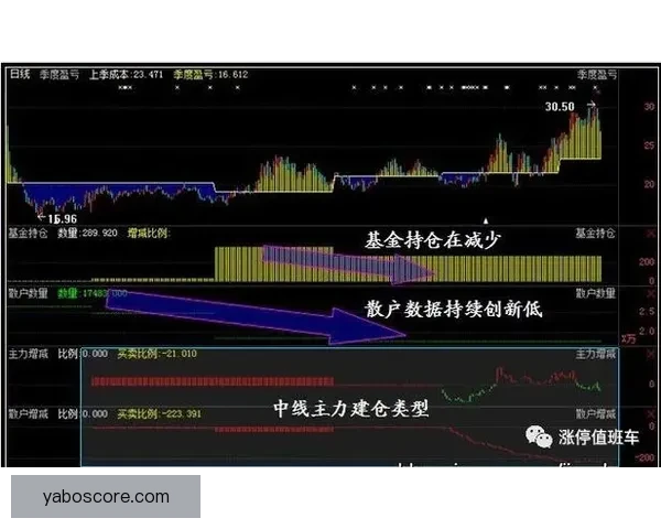世界杯竞猜游戏高手必读全面解析投注技巧与稳健盈利实战指南